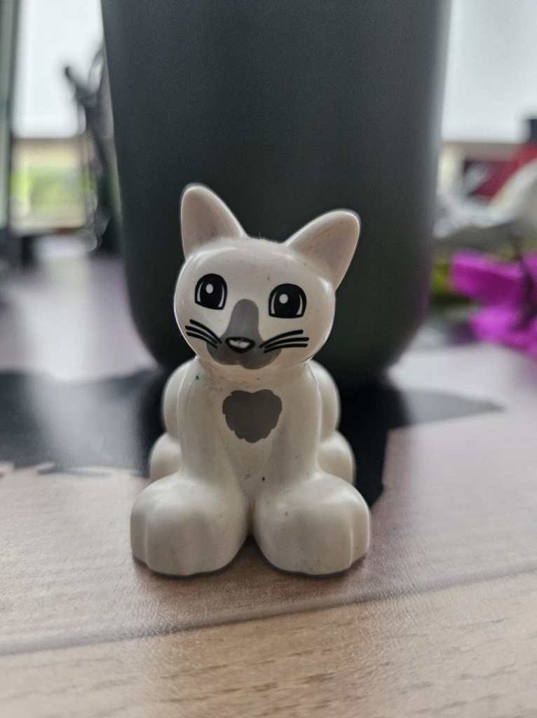 Alejandra Diaz Alejandra Diaz