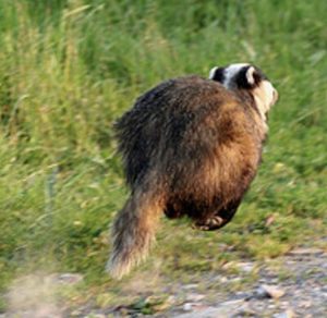 1FC0C451-22DC-49E1-93B1-E727AAEC56CC