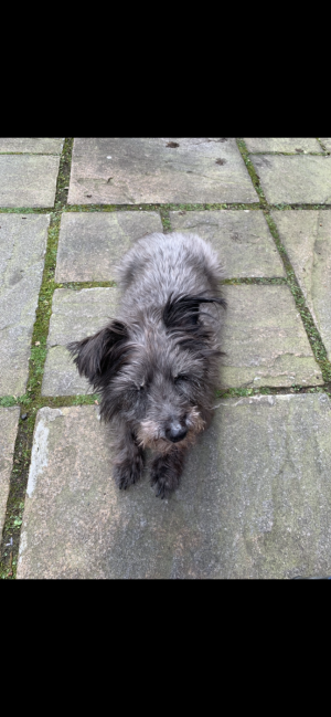 3821F5B2-56C0-49E4-9297-13DD1995EA2E