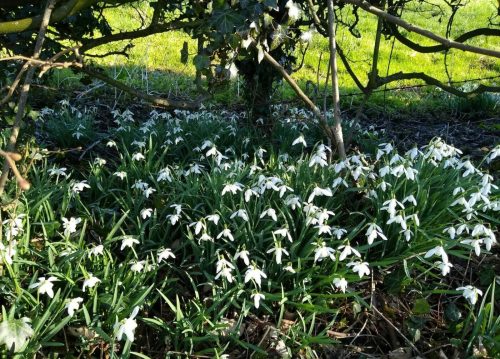 IMG_20210227_140418149 (2)