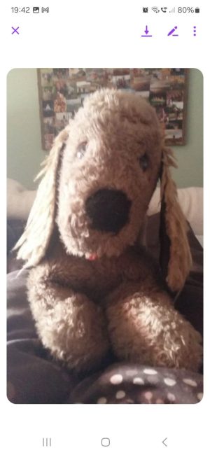 inbound3255376776675140135